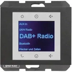 Berker Radio DAB+, K.x anth. 29847006
