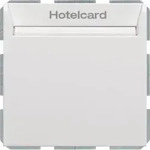 Berker Relais-Schalter Hotelcard 16409909