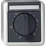 Gira Zeitschalter gr 032030