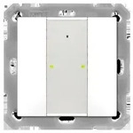MDT technologies Taster Plus TS 55 2-fach BE-TA55T2.G2