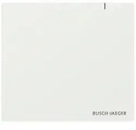 Busch-Jaeger System Access Point SAP.13
