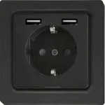 Eltako Schutzkontakt-Steckdose DSS55E+2xUSBA-am