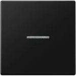 Jung KNX RF Taster 1fach A 10911 ST RF BF SWM