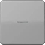 Jung eNet Funk-Steuertaste FM CD 1700 GR