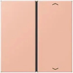 Jung Taste 1fach m. Pfeilsymb. LC 401 TSAP 231
