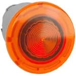 Schneider Electric Frontelement Leuchtdruckt. ZB4BW453
