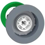Schneider Electric Drucktaster, Front ZB5FH0C0