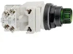 Schneider Electric Leuchtdrucktaster 9001SK2L35GH13