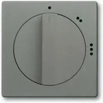 Busch-Jaeger Zentralscheibe gr/metal 2542 DR/02-803
