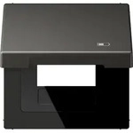 Jung Klappdeckel AL 2990 KL USB AN