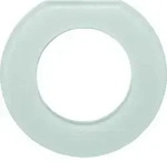 Berker Glas-Endrahmen 1-fach 109219