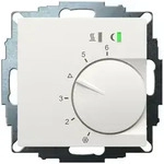 Eberle Controls UP-Raumregler 5-30C AC230V UTE 2500-RAL9010-M55