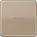 Jung KNX RF Taster 1fach CD 10911 ST RF GB