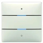 Theben Tastsensor iON 102 KNX