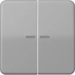 Jung KNX RF Taster 2fach CD 10921 ST RF GR