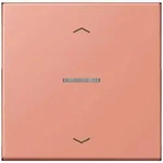 Jung Wippe mit Lichtleiter LC 101 KO5P 233