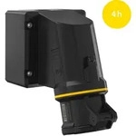 Walther Werke CEE NEO Wandsteckdose 32A FW13140401