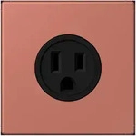 Jung Steckd NEMA15 LC 521-15 236