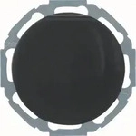 Hager Steckdose WLS1211BG