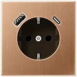 Jung Steckdose BRG 1520-15 CA