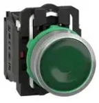 Schneider Electric Leuchtdrucktaster XB5AW33B5C0