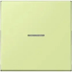 Jung Wippe mit Lichtleiter LC 101 KO5 222