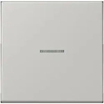 Jung Wippe mit Lichtleiter LC 101 KO5 205