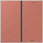Jung Taste 1fach m. Pfeilsymb. LC 401 TSAP 236