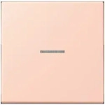Jung eNet Taster Standard 1fach FM LC 1700 234