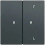 Gira Taster Wippe 2f 517573