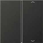 Jung Taste 1-fach anth AL 2401 TSAP AN