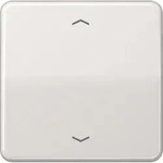Jung Steuertaste Standard CD 1700 P LG