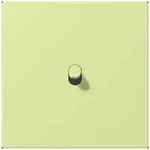 Jung Abdeckung mit Kipphebel LC 12-0 R 0 222