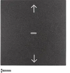 Berker KNX-Funk Jalousie-Taste 85245285