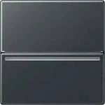Jung Hotelcard-Schalter A CARD RFID ANM
