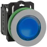 Schneider Electric Leuchtdrucktaster XB5FW36B5C0