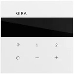 Gira UP-Radio IP System 232070