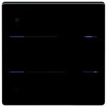 Theben Glas-Tastsensor iON 104 KNX G BK