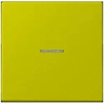 Jung Wippe mit Lichtleiter LC 101 KO5 249