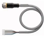 Turck Aktuator- u. Sensorleitung RKC4.5T-2/TXG