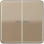 Jung Wippe Lichtleiter go-brz CD 595 KO5 GB