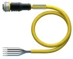 Turck Aktuator- u. Sensorleitung RKC4.5T-5/TEY