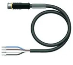 Turck Aktuator- u. Sensorleitung PKGS4M-10/TEL