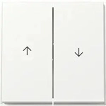 Gira Wippe 2f Pfeil 329466