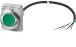 Eaton Leuchtdrucktaste flach 1S C30C-FDL-G#186067