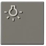 Siedle&amp;S&ouml;hne Taste m.Lichtsymbol titan 200029099-00