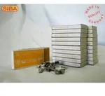 Siba G-Sicherung M 5A 172525