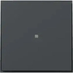 Gira Wippe gerade Kontrollf. 349067