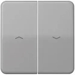Jung Wippe Symbole gr CD 595 PBF GR