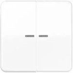Jung Wippe Lichtleiter aws CD 595 KO5BF WW
